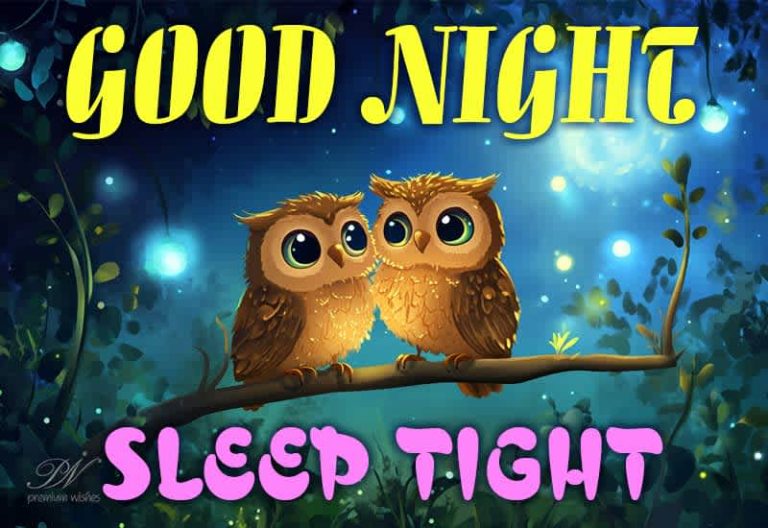 Good Night Wishes