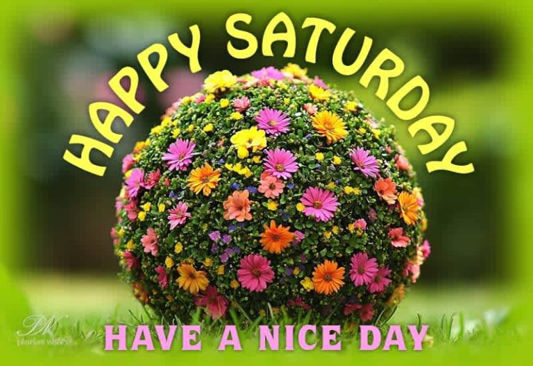 Happy Saturday – Have a nice day and weekend