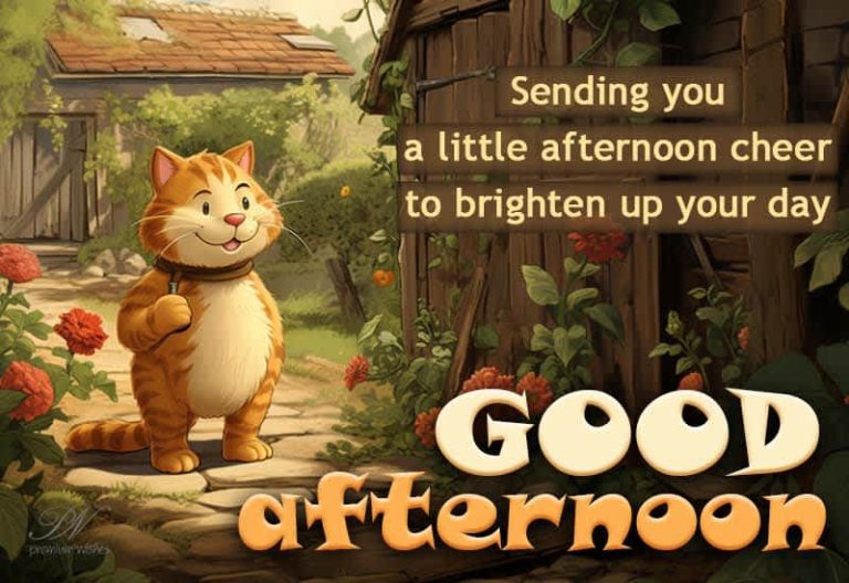 Good Afternoon Wishes