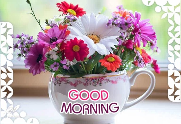 Good Morning – Enjoy the beauty around you