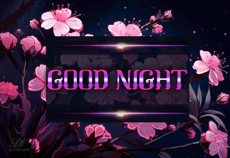 Good Night Wishes