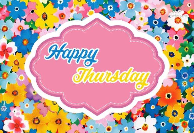 Happy Thursday – Have a fabulous day