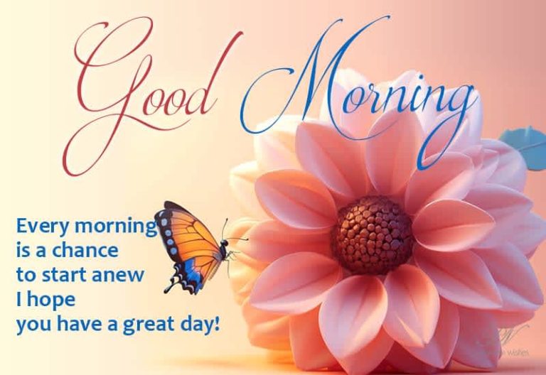 Good Morning – Every morning is a chance to start anew I hope you have a great day