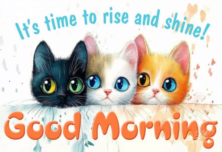 Good Morning – It’s time to rise and shine friends