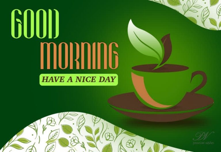 Good Morning – Have a fabulous and nice day