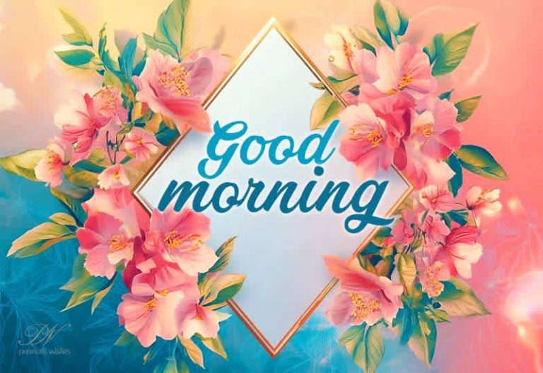 Good Morning – I hope today is a good one