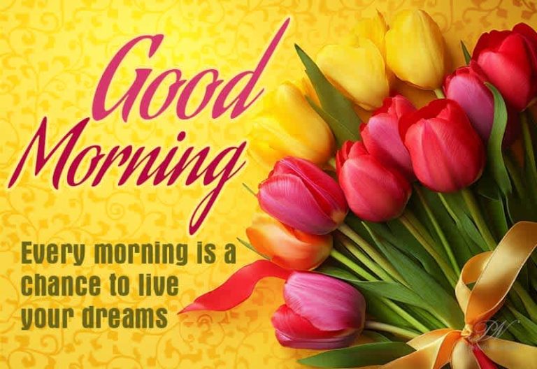 Good Morning – Every morning is a chance to love your dreams