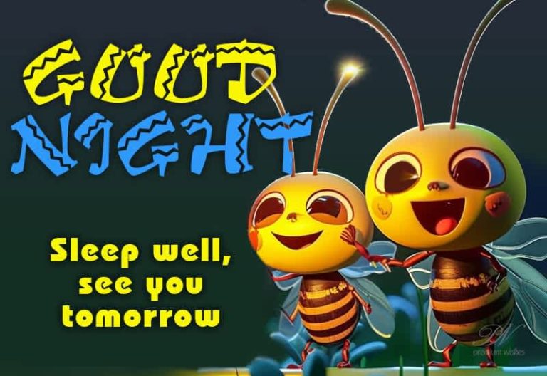 Good Night Wishes