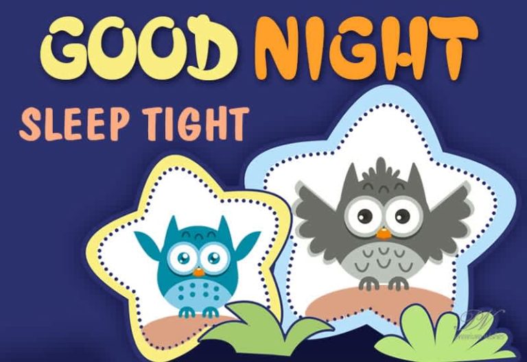 Sleep Tight and Have a deep sleep – Good Night Friends