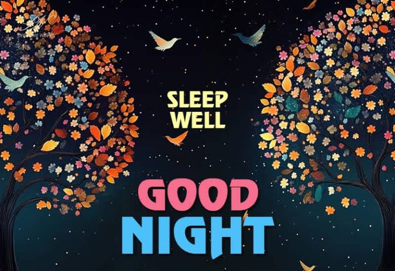 Good Night Wishes