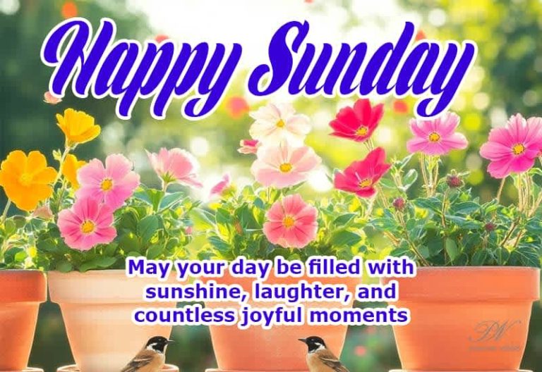 Happy Sunday – May your day be filled with sunshine, laughter and countless joyful moments