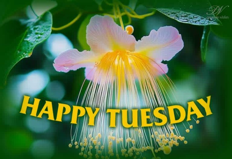 Happy Tuesday – Conquer this bright and beautiful day