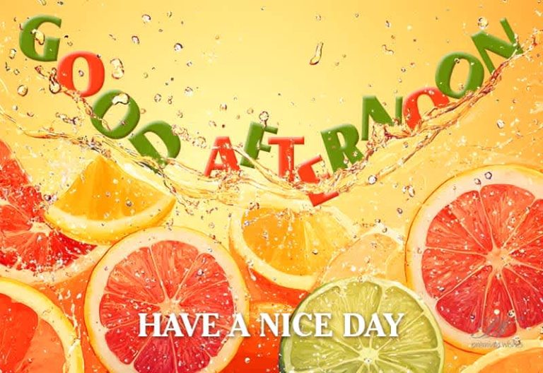 Good Afternoon – Have a nice and cool day