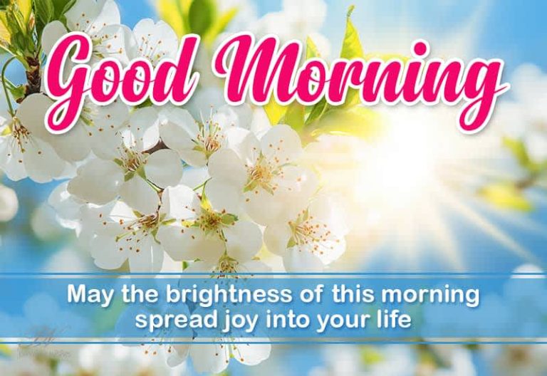 Good Morning – Friends May the brightness of this morning spread joy into your life