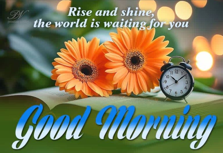 Good Morning – Rise and Shine – the world is waiting for you