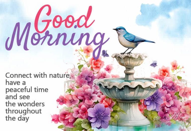 Good Morning – Connect with nature, have a peaceful time and see the wonders throughtout the day