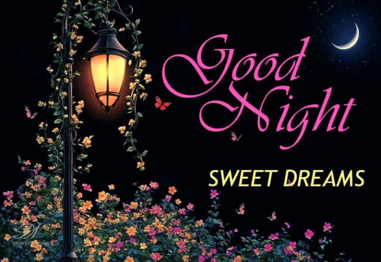Good Night Wishes