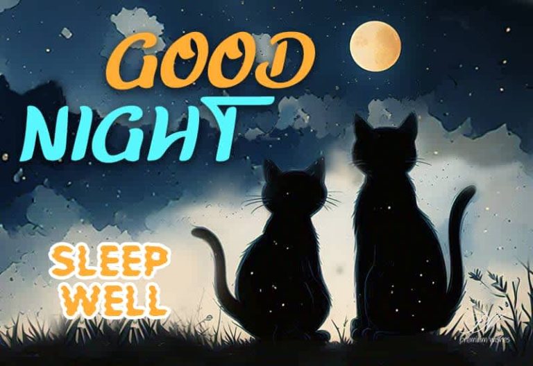 Good Night Wishes
