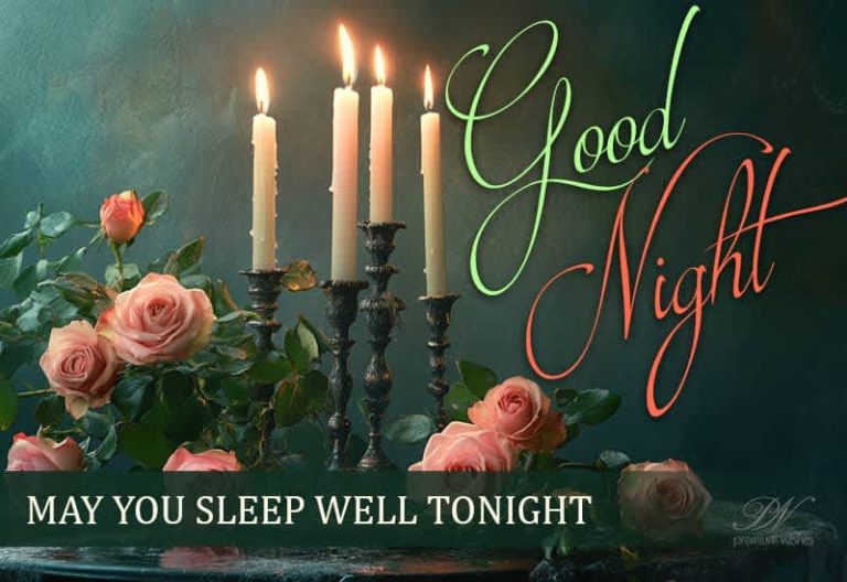 Good Night – May you sleep well tonight friends – Rest Well