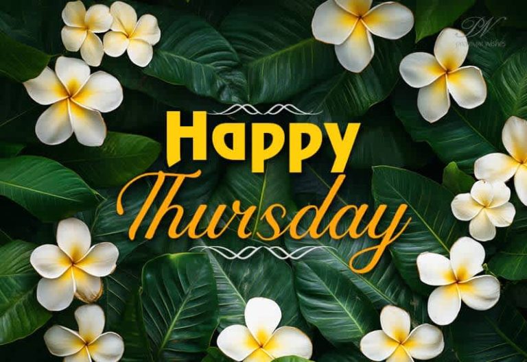 Happy Thursday – Enjoy, smile and take care of yourself