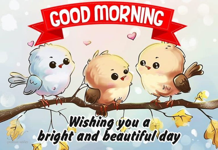 Good Morning Friends – Wishing you a bright and beautiful day