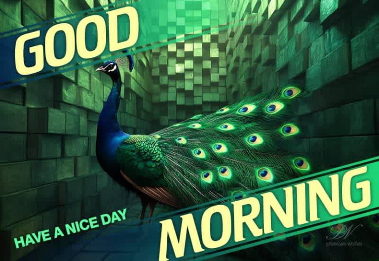 Good Morning – Enjoy and have the nicest day friends