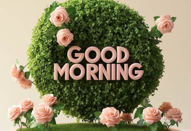 Good Morning – Live amongst the greenery among you