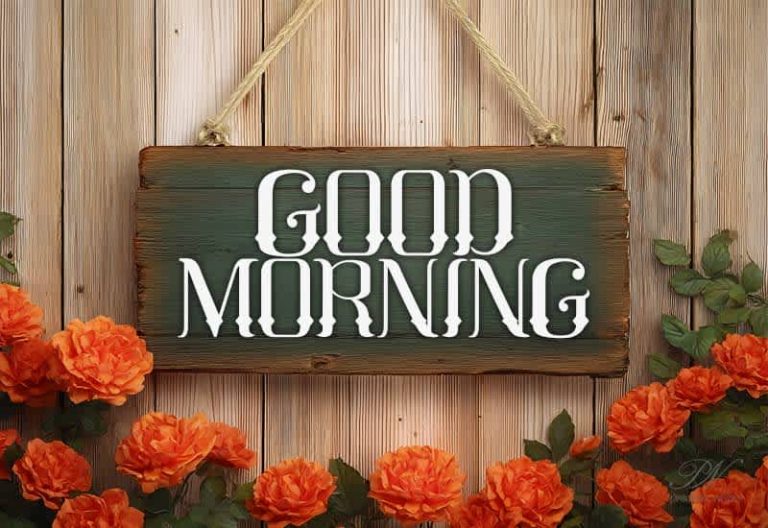 Good Morning – Rise like the sun, stretch like the trees, and breathe like the earth — it’s a new day to grow beautifully