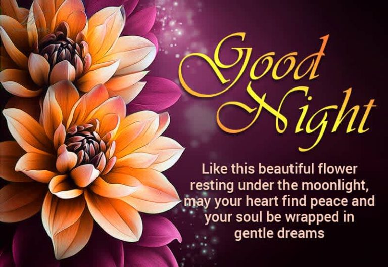 Good Night Wishes