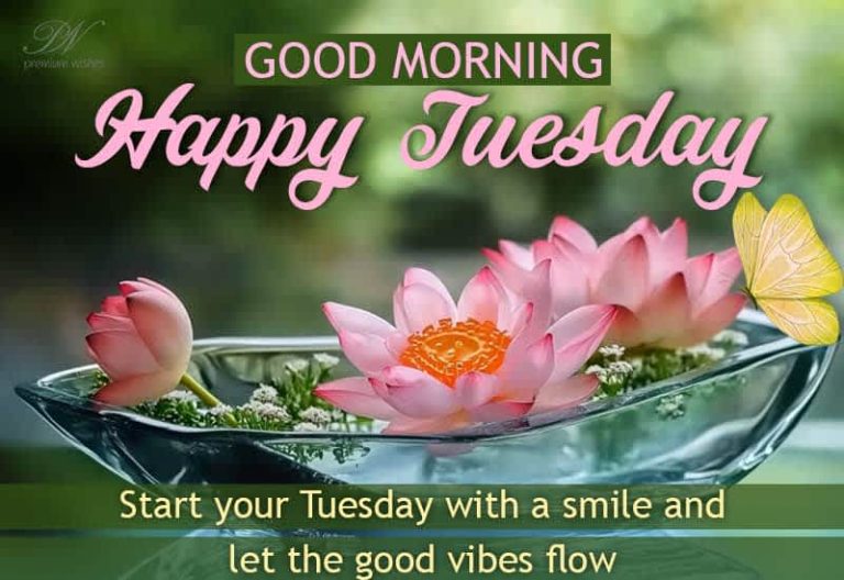 Good Morning – Happy Tuesday – Start your Tuesday with a smile and let the good vibes flow