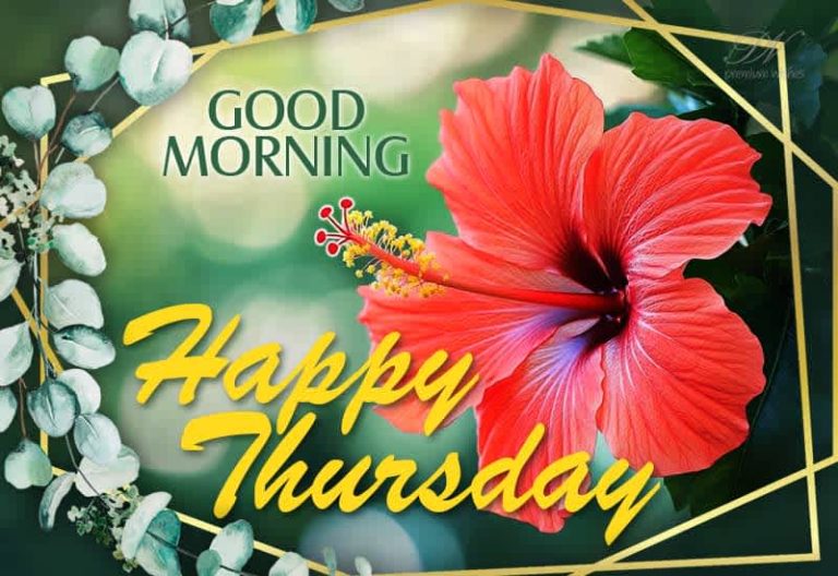 Happy Thursday – Good Morning – Rock today