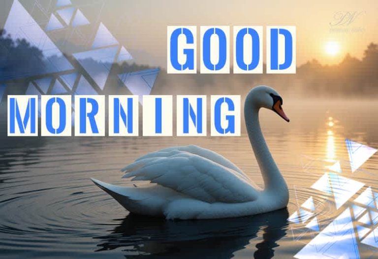 Let this morning be a gentle reminder: like the dew on petals, you’re here, fresh and full of grace. Good Morning.