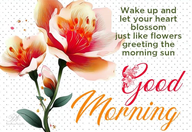 Good Morning – Wake up and let your heart blossom just like flowers greeting the morning sun