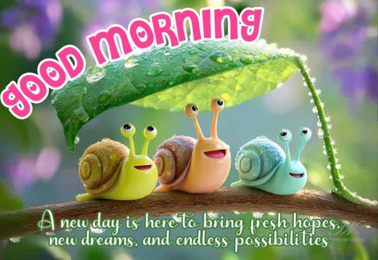 Good Morning – A new day is here to bring fresh hopes, new dreams, and endless possibilities