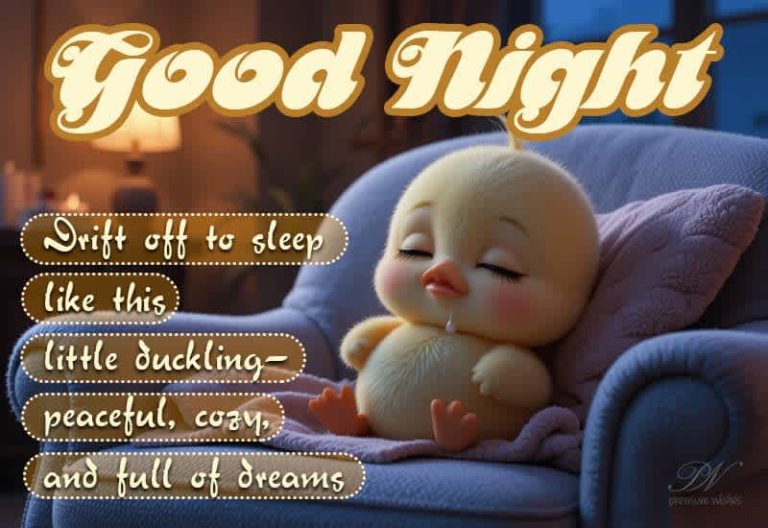 Good Night Wishes