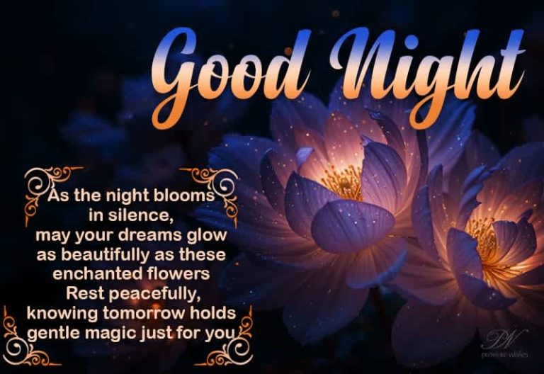 Good Night Wishes