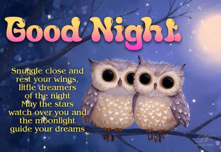 Good Night Wishes