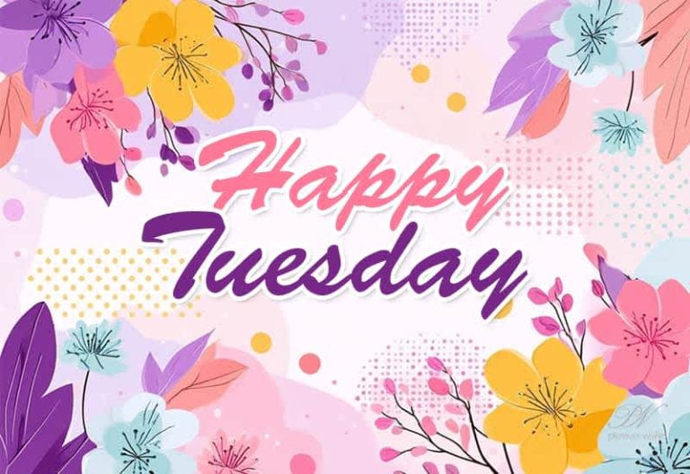 It’s Happy Tuesday! Keep going — you’re doing better than you think. Let positivity lead the way!