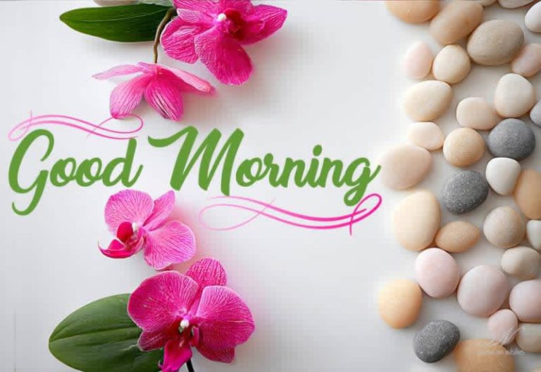 Good Morning – Rise and shine! A brand-new day is here — embrace it with positivity and joy