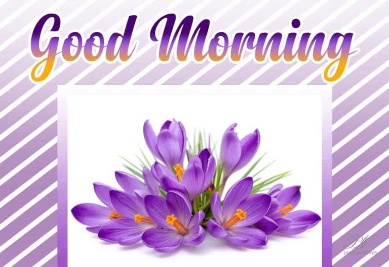 Good Morning – Wake up with a smile—today has something wonderful waiting for you
