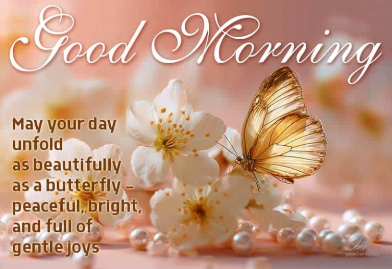 Good Morning – May your day unfold as beautifully peaceful, bright and full of gentle joys