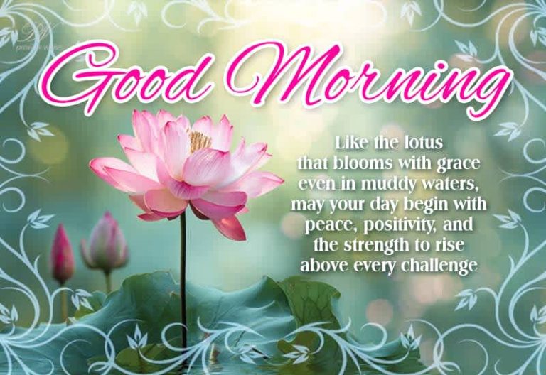 Good Morning – Like the lotus that blooms with grace even in muddy waters, may your day begin with peace, positivity and the strength to rise above every challenge