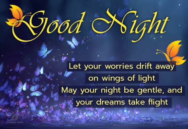 Good Night – Let your worries drift away on wings of light