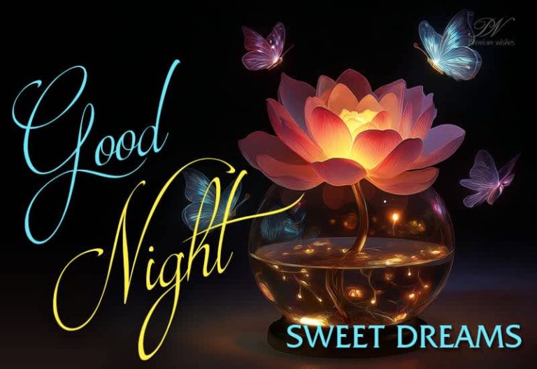 Good Night Wishes