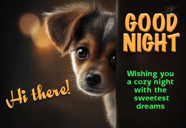 Good Night Wishes