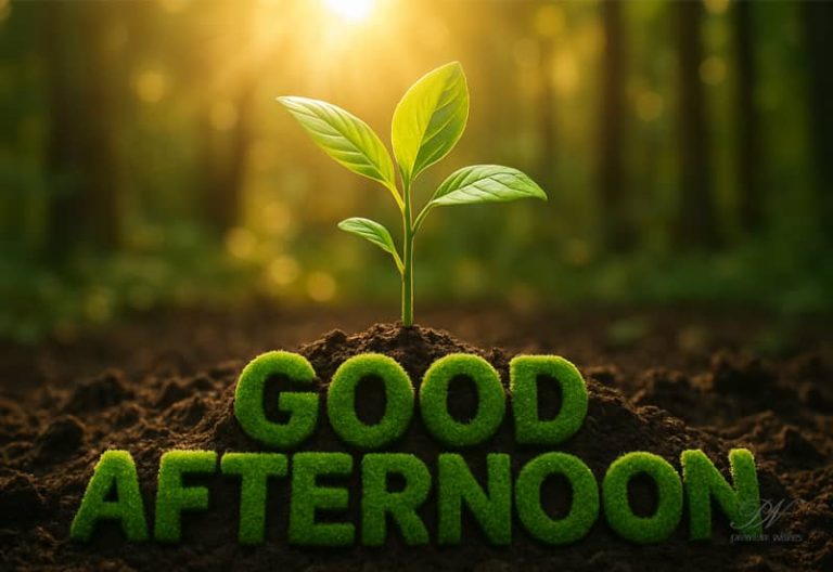 Good Afternoon – Let the sunshine refill your energy and the fresh breeze inspire the rest of your day