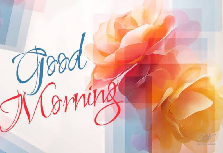 Good Morning! ☀️ Start your day with gratitude and watch the magic unfold